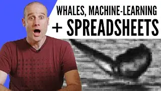 I Found a Whale Using Maths!