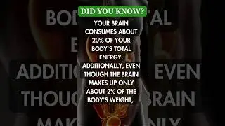 Inside Your Body  #youtubeshorts #quiz #health