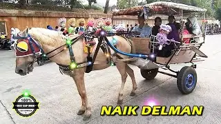 NAIK DELMAN ISTIMEWA ~ Naik KUDA Naik DELMAN | Wisata KUDA Paling VIRAL di Jakarta Timur