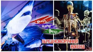 КНП 4 Передноворічний вікенд Виставка динозаврів та Всесвіт тіла