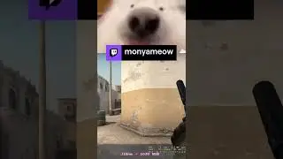 эйс? смотрите фулл! | monyameow с помощью 