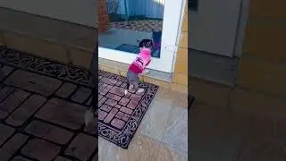 Наш новогодний подарок ❤️