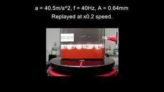 A flame structure formation : Vertical shaking of a water-immersed size-graded granular medium I