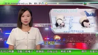 無綫TVB 1000 一小時新聞報道｜大熊貓龍鳳胎滿月 兩姐弟「暴風式成長」｜日本小林製藥因包裝問題停售三種口腔護理產品  | 內地網紅直播推銷香港月餅 被揭品牌僅在港註冊 ｜2024年9月14日
