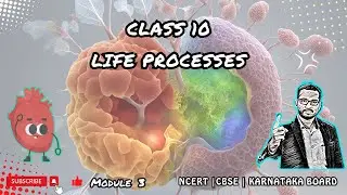 Complete Guide to Life Processes in Class 10 NCERT | Module 3