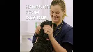 Discover a world-leading vet school, in one of Europe's most exciting cities