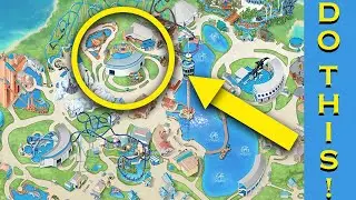 How to have the BEST DAY EVER at SeaWorld Orlando!