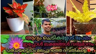 വീട്ടിലെ ചെടി onlineൽ വിറ്റ് സമ്പാദിക്കാം | Garden tour | Garden ideas | gardening tips in Malayalam