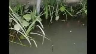 В кафе у моря