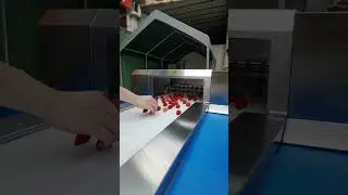 Strawberry half cutting suitable for different size and shape of strawberry