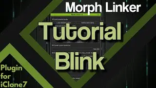 Morph Linker - Tutorial custom blink