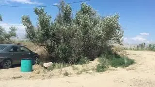 НОВОФЕДОРОВКА / ДИКИЙ ОТДЫХ В КРЫМУ / НА АВТО ВДОЛЬ ПЛЯЖА / МЕСТА ДЛЯ ЛАГЕРЯ И ПАЛАТОК