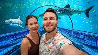 Our FIRST Visit To SeaWorld Orlando Together!
