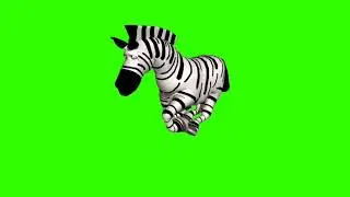 Green Screen Animation - 3D Zebra (COPYRIGHT FREE)