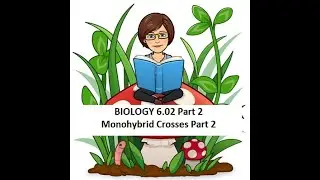 BIO 6.02 Monohybrid Crosses Part 2