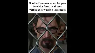 Half-Life memes ylyl 2.2 remade