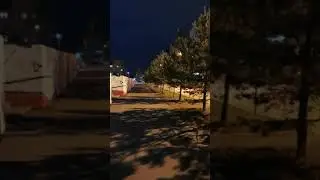 Это точно декабрь?