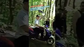 Болельщики Факела посадили ДУБЫ в заповеднике 