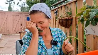 Я ТАК ПЕРЕЖИВАЮ 😥22 августа 2023
