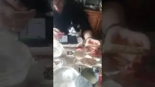 Переходим с Вискаса на сгущёнку