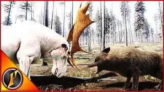 Yukon Valley Wolf Hunt! | A Pair of Rares!