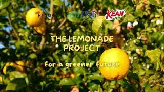The Lemonade Project
