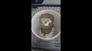 What my laundromat makes in 10 days Part 1