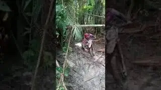Trilha vila aratau