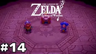 The Legend of Zelda Echoes of Wisdom #14 Home Sweet Home