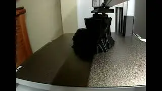 Statue Timelapse