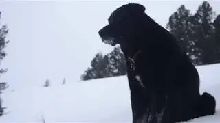 Hyalite Backcountry