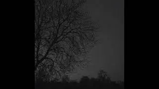 Aureli — Я люблю тебя