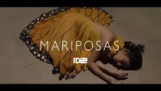 ID2 | Mariposas - Clipe oficial