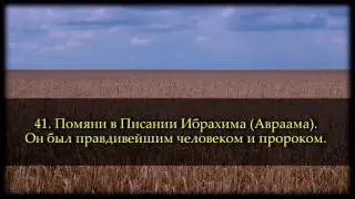 Саид Дубаха. Сура 