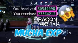 SUBE RÁPIDO DE NIVEL CON ESTE NPC🤯 | DRAGON RAJA EN ESPAÑOL