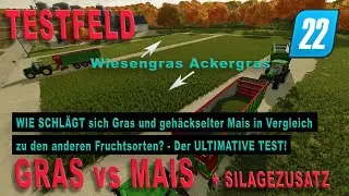 LS22 Test -  Mais vs. Ackergras vs. Wiesengras  - Gewinn pro Stunde