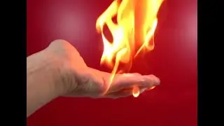 8 AMAZING TRICKS