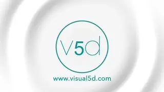 visual 5d: BIM  Construction Showreel,