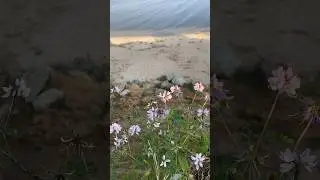 Внутренние спокойствие 
