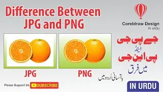 How to Difference Between png and jpg