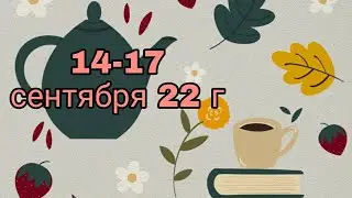 Обезьяна из Махачкалы