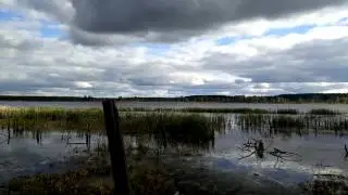Вездеход Шерп альтернативное управление.