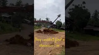 They couldn’t find find a chainsaw , they tried this instead 💪🏼 