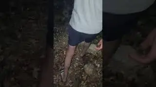 Walking through a jungle in Selce , Prilep. part 2