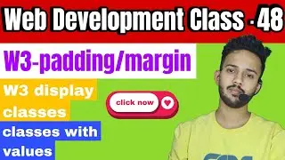 Web Development class #48 | W3 padding, margin and display classes | Safe font? | NATL | Zulquir
