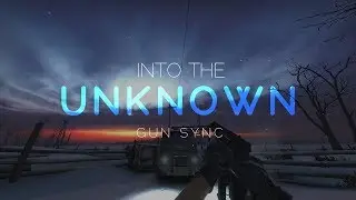 CS:GO Gun sync : INTO THE UNKNOWN