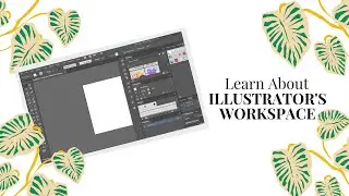 INTRODUCTION TO ILLUSTRATOR INTERFACE | Learn Illustrator