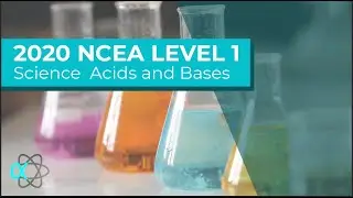 NCEA L1 Science 2020 Acids and Bases Exams Worked Answers
