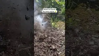 Ничего не трогай 3 #fake #military #survival