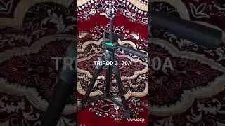 10 марта 2024 г.